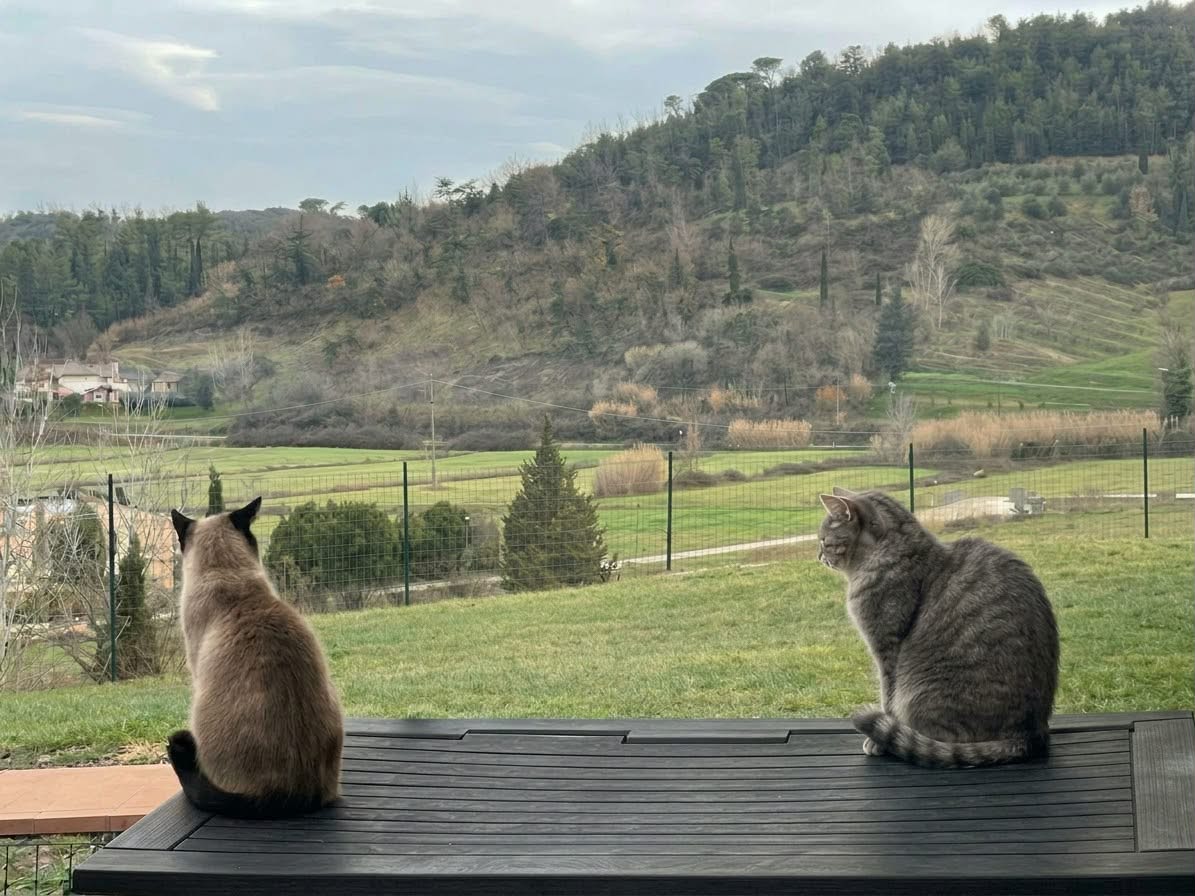 dipendenza affettiva